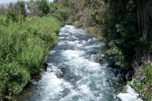 Tributary-of-Jordan-River-Israel